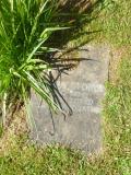 image of grave number 654786
